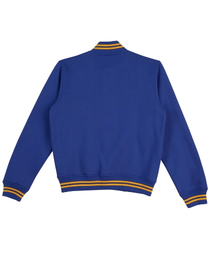 Picture of Winning Spirit, Adult's Fleece Varsity Jacket